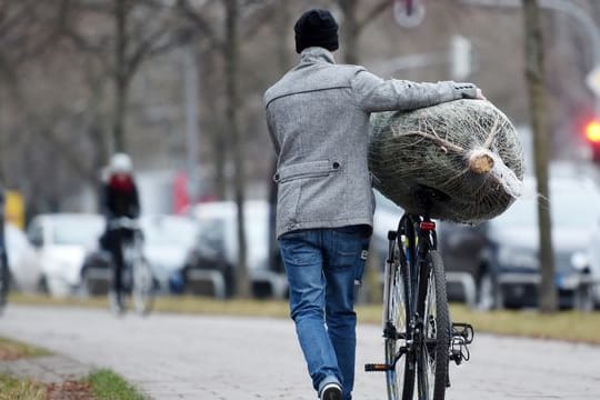 Wer sein Bäumchen liebt, der schiebt - und fällt damit auch nicht so schnell auf die Nase.