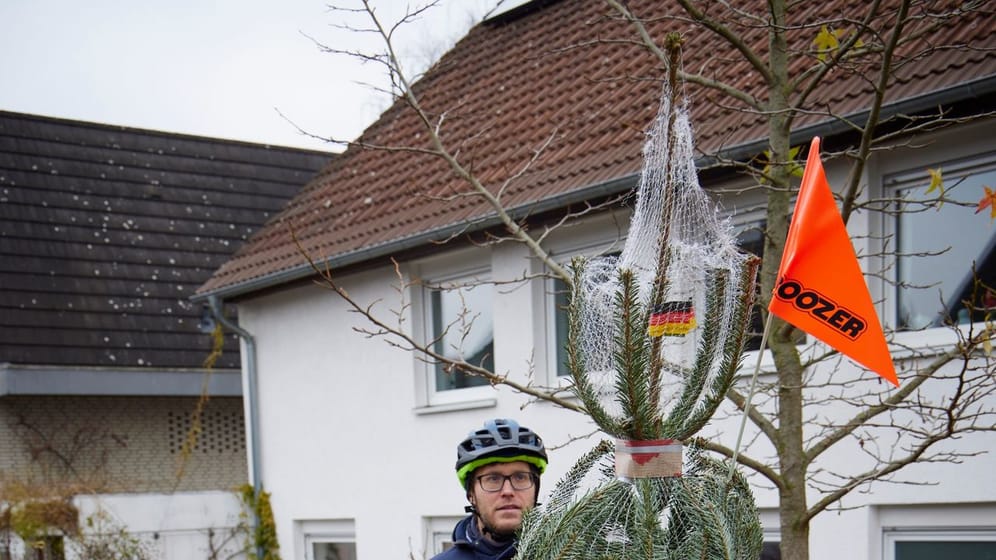 Standfest wie eine Eiche: Gut vor dem Umkippen geschützt, kann der Weihnachtsbaum auch im Gepäckabteil eines Fahrrad-Kinderanhängers nach Hause transportiert werden.