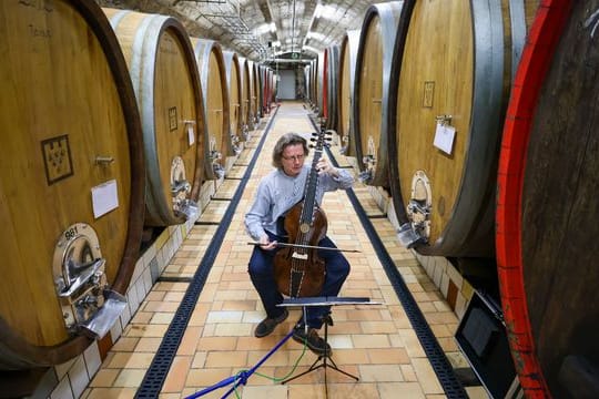 Klassik-Echo-Preisträger Thomas Fritzsch spielt auf einer Gamba Musik von Telemann im Fasskeller der Winzervereinigung Freyburg.