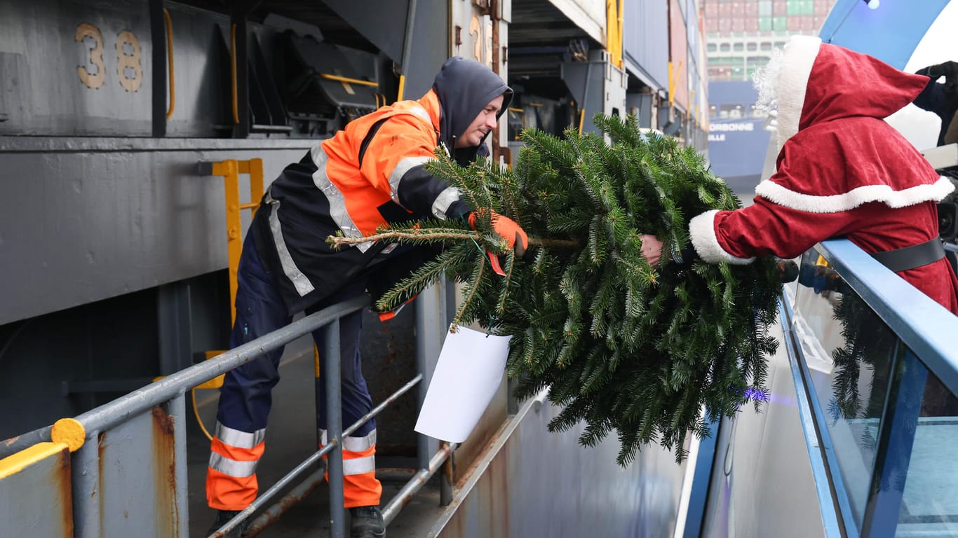 Ein Seemann nimmt einen Baum in Empfang: Viele Beschäftigte auf den Schiffen verbringen die Feiertage nicht mit ihren Familien.
