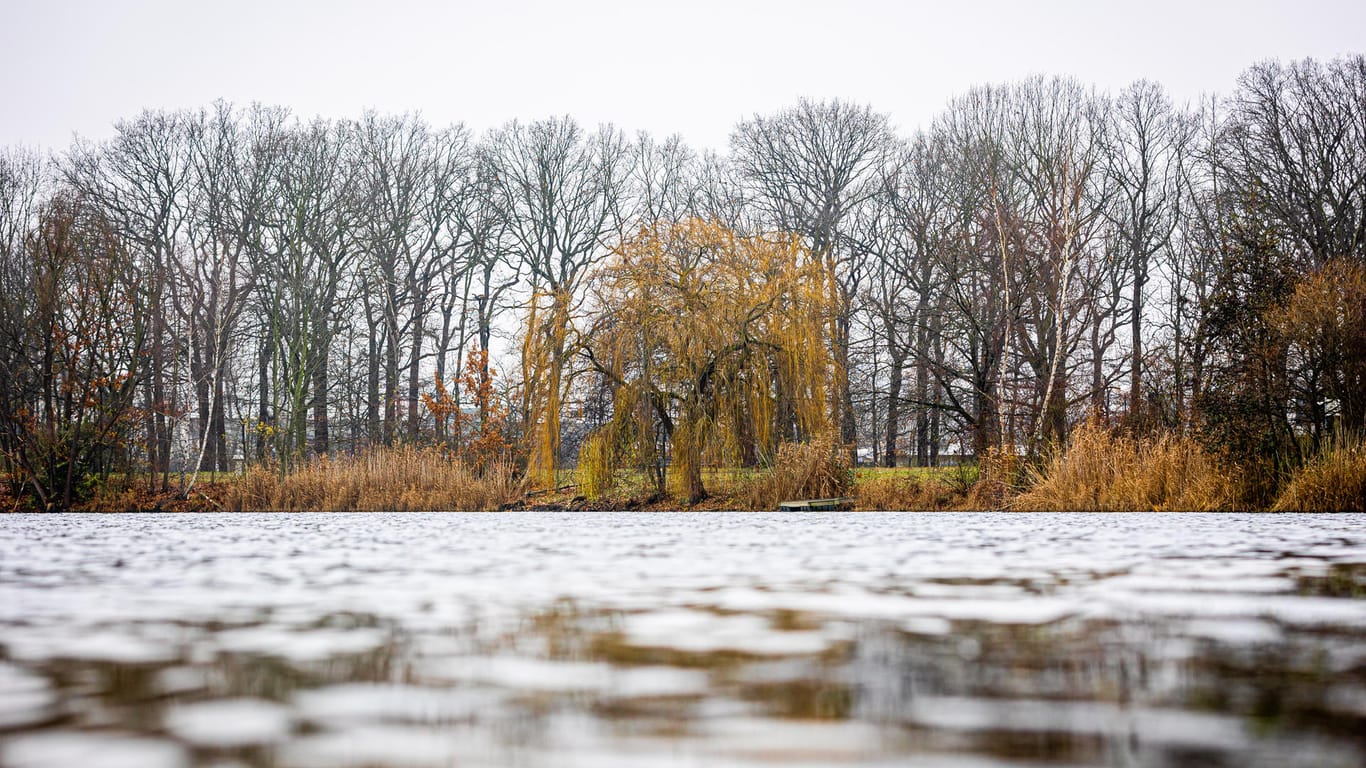 Bäume stehen bei grauem Himmel am Ufer des Allersees in Niedersachsen: Das trübe Winterwetter wird sich auch über das Wochenende halten.