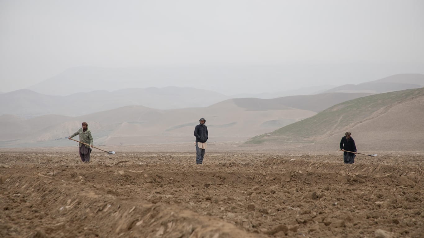 Afghanistan leidet unter einer der schwersten Dürren der vergangenen Jahrzehnte.