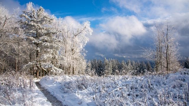 Schnee in Rheinland-Pfalz