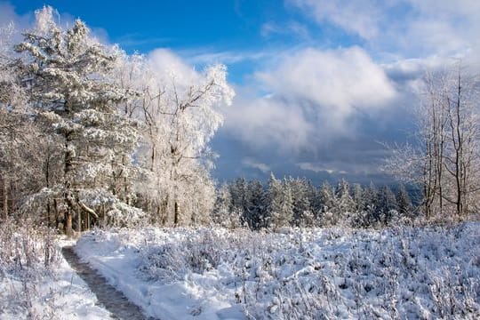 Schnee in Rheinland-Pfalz