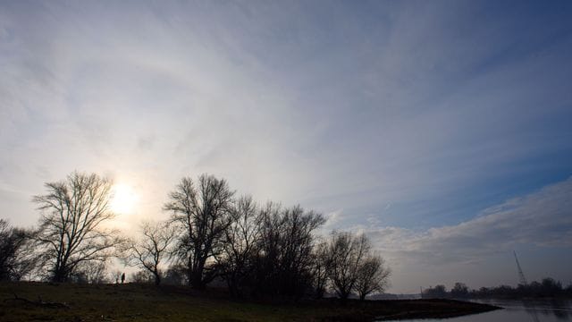 Spätherbst in den Elbauen