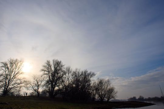 Spätherbst in den Elbauen