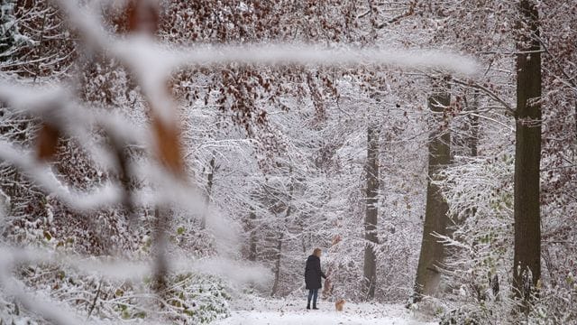 Schnee in Stuttgart Schnee in Stuttgart
