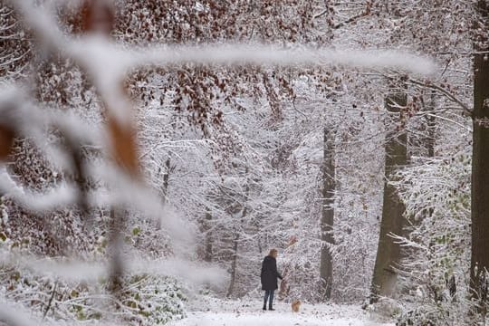 Schnee in Stuttgart