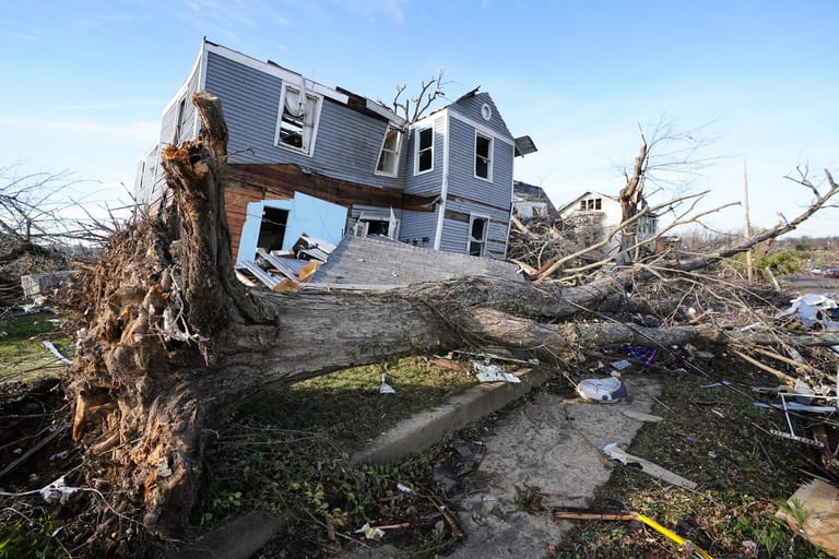 Ein umgestürzter Baum liegt vor einem von einem Tornado beschädigten Haus.