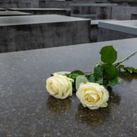 Zwei Rosen auf einem der 2711 Beton-Stelen des von Peter Eisenmann entworfenen Denkmal für die ermordeten Juden Europas (Archivbild): Gegen einen 20-Jährigen wird wegen Störung der Totenruhe ermittelt.