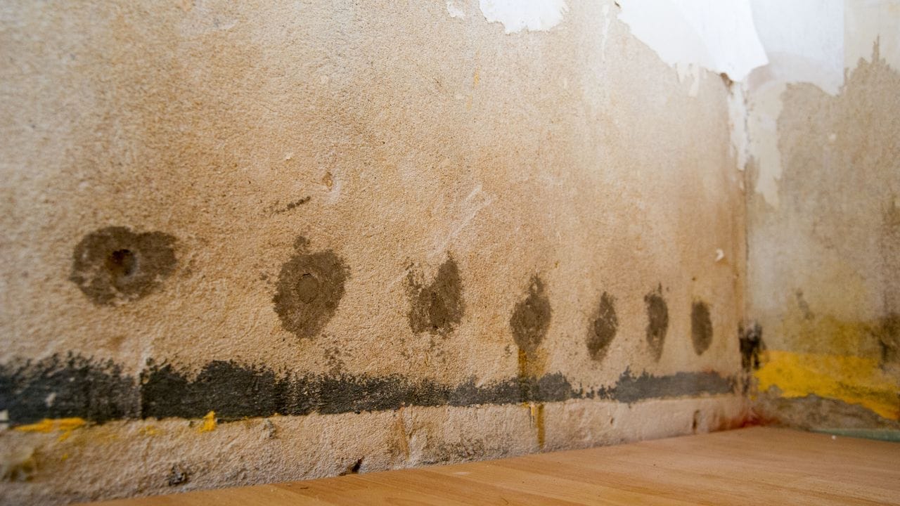 Bilden sich dunkle und feuchte Stellen auf der Wand oder an der Decke, ist vielleicht ein Wasserrohr geplatzt. Bilden sich dunkle und feuchte Stellen auf der Wand oder an der Decke, ist vielleicht ein Wasserrohr geplatzt.