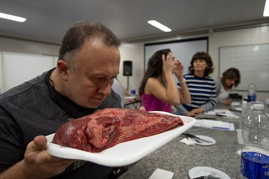 Neue Ausbildung zum Fleischsommelier an der Tierärztlichen Fakultät in Buenos Aires: Der Kurs dauert 300 Stunden und umfasst Ausbildungsmodule zu Tierzucht, Verarbeitung, Zubereitung und Verkostung von Fleisch.