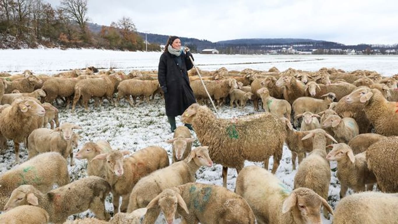 Schäferin mit Herde