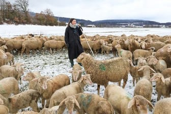 Schäferin mit Herde