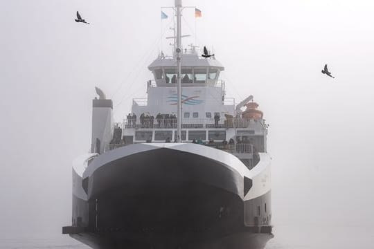Die Elbfähre "Greenferry I" fährt aus dem Hafen (Archivbild): Die Strecke war im Sommer sehr beliebt, doch das allein reichte nicht. Die Elbfähre "Greenferry I" fährt aus dem Hafen (Archivbild): Die Strecke war im Sommer sehr beliebt, doch das allein reichte nicht.