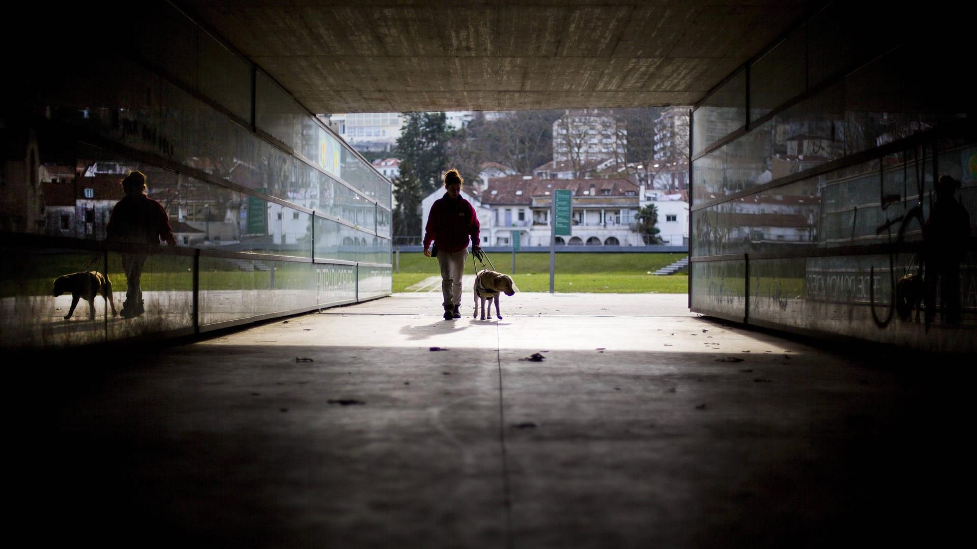 Unterwegs mit dem Blindenhund (Symbolfoto): Der Pudel von Hans-Joachim Baudach ist sein einziger Kontakt seit Beginn der Pandemie.