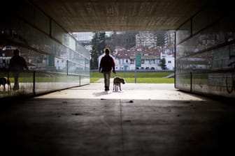 Unterwegs mit dem Blindenhund (Symbolfoto): Der Pudel von Hans-Joachim Baudach ist sein einziger Kontakt seit Beginn der Pandemie.