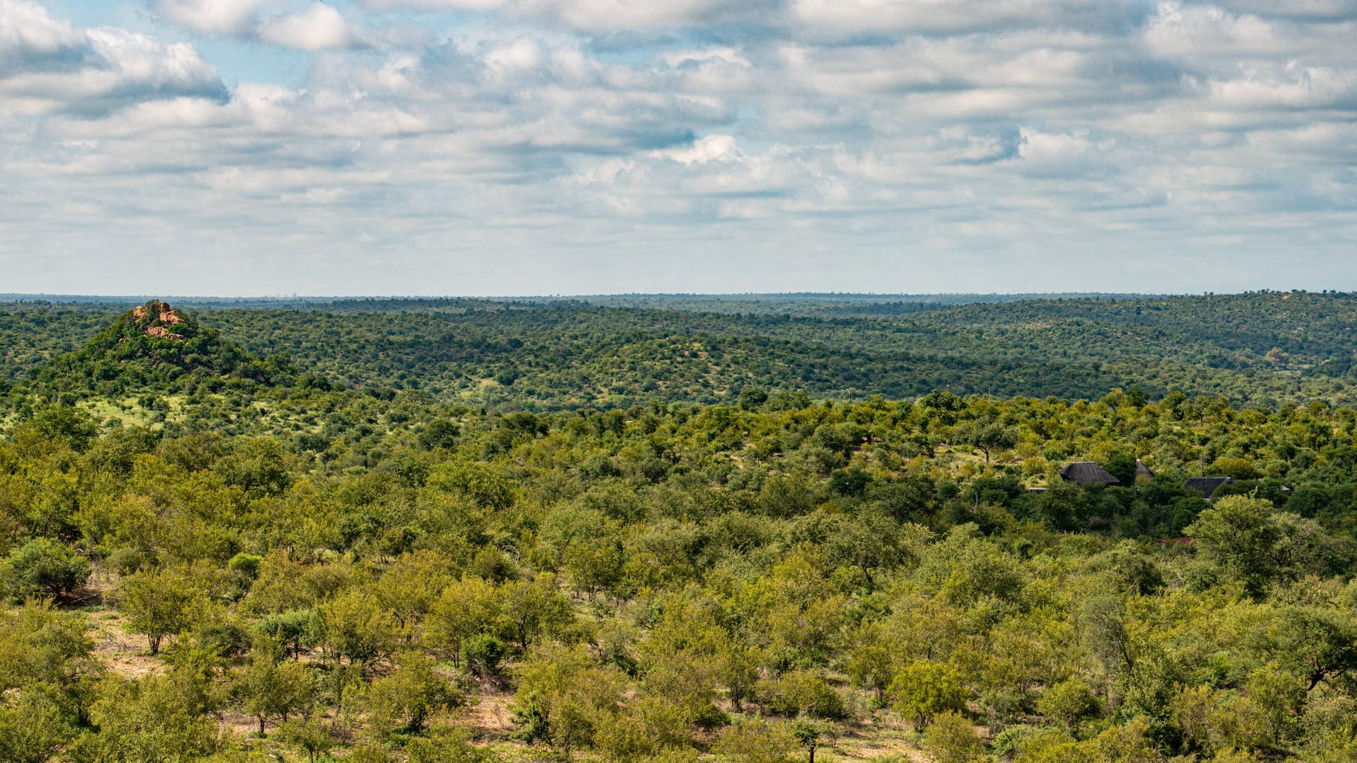 Kruger National Park: Hier in der Nähe will RTL das Dschungelcamp 2022 drehen.