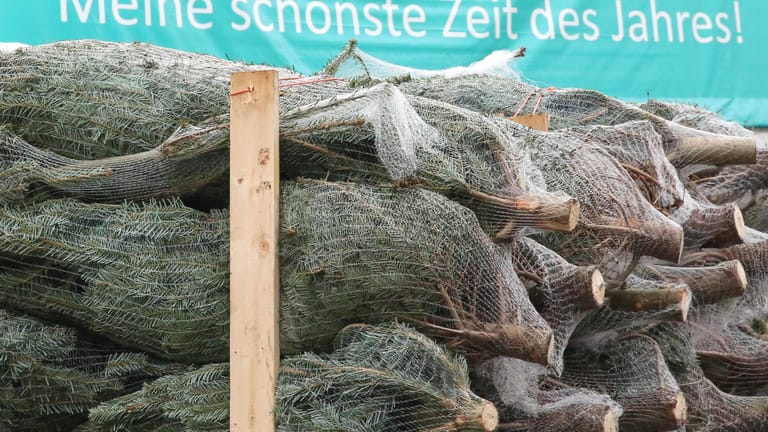In Netzen verpackte Tannenbäume (Archivbild): In Düsseldorf haben Polizisten den Baum einer Frau nach Hause getragen.