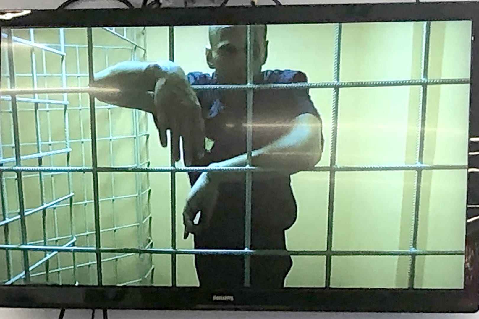 Das Bild Alexej Nawalny in einer Zelle wird bei einer Anhörung per Video übertragen (Archivbild): Der Kreml-Kritiker ist Grund für diplomatische Schritte Russlands.