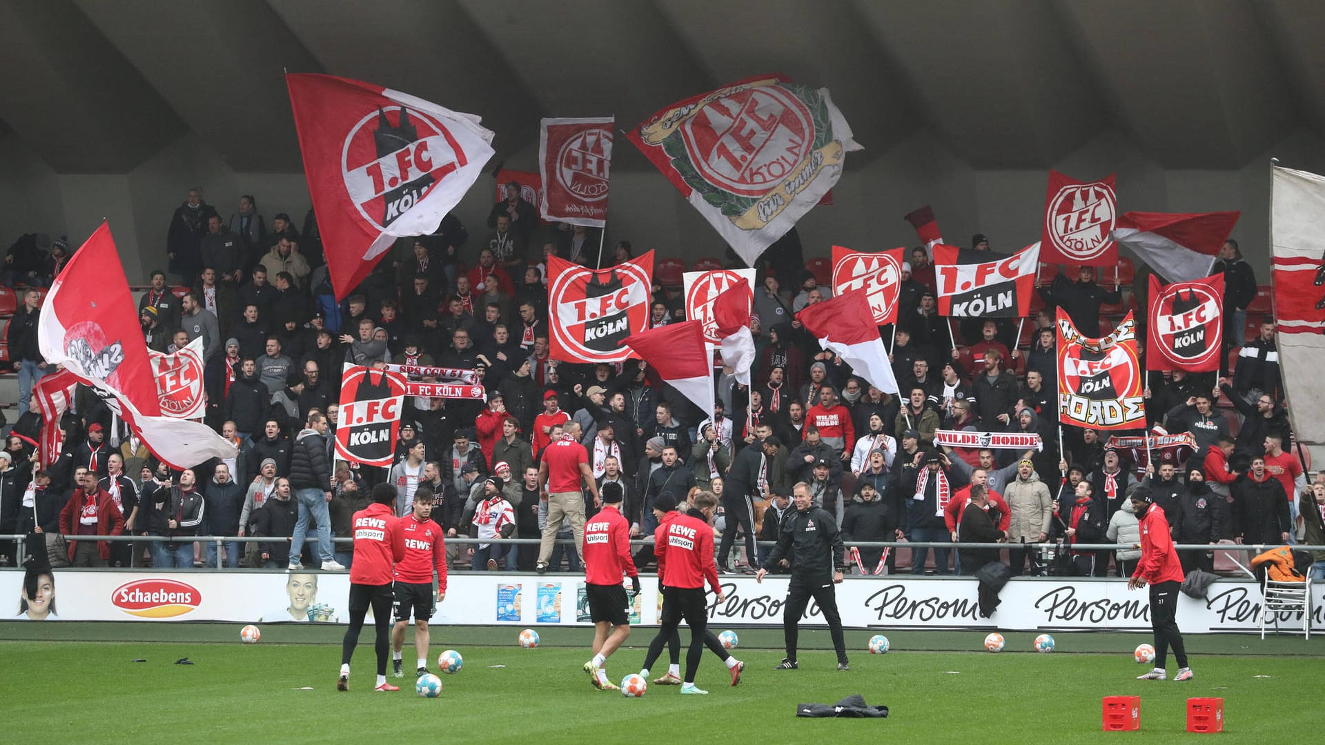 FC-Ultras bejubeln die Spieler beim Abschlusstraining am Geissbockheim: Am Sonntag spielt der 1. FC Köln im Hinrunden-Finale gegen den VfB Stuttgart.