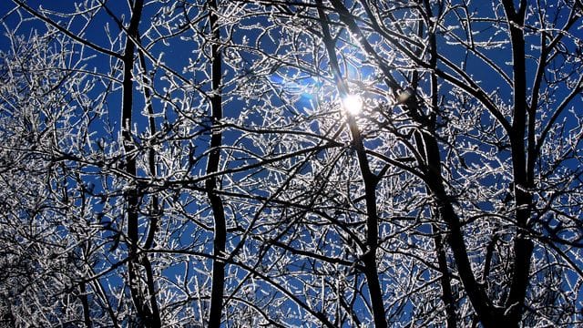Raureif im Sonnenschein Raureif im Sonnenschein