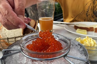 Roter Lachskaviar auf Eis. Die Delikatesse schmeckt auch auf einem gut gebutterten Brot.
