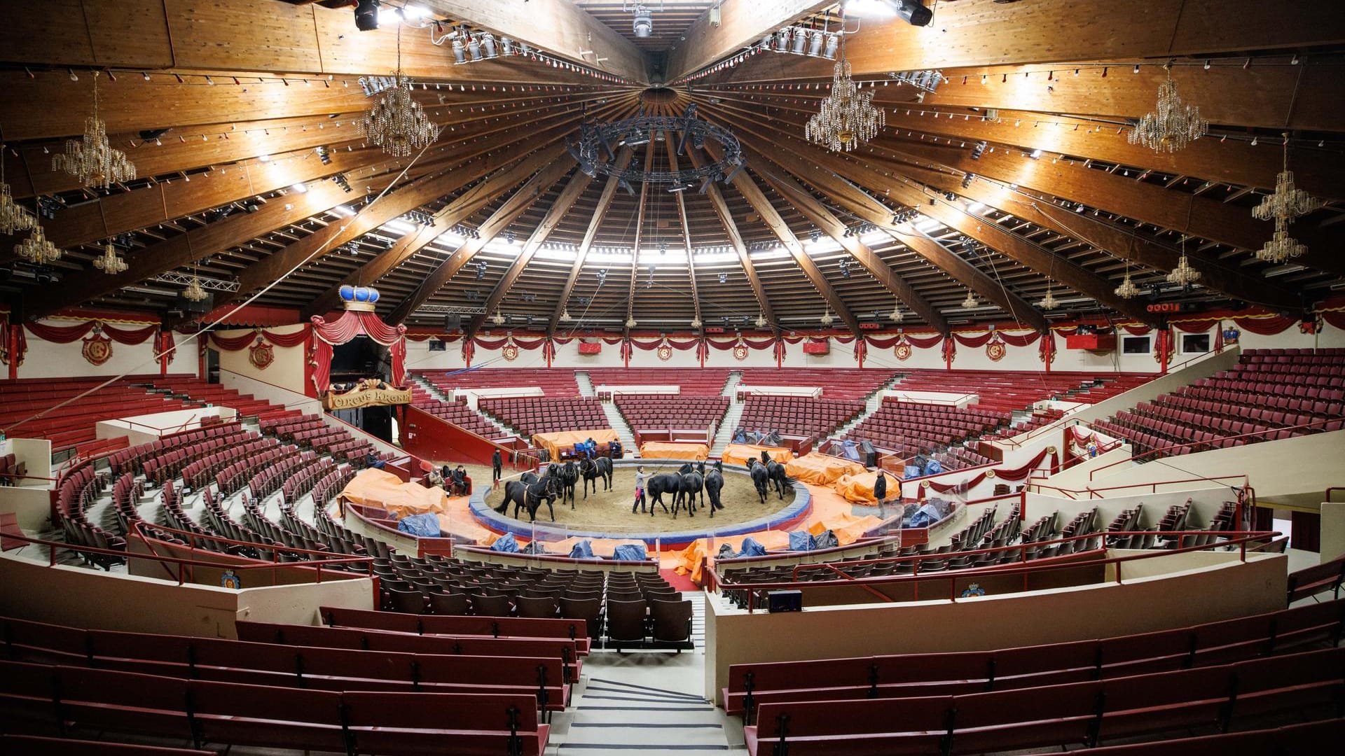 Tierlehrer arbeitet in der Manege vom Cirkus Krone mit den Zirkuspferden: Die Absage trifft den Zirkus finanziell schwer.