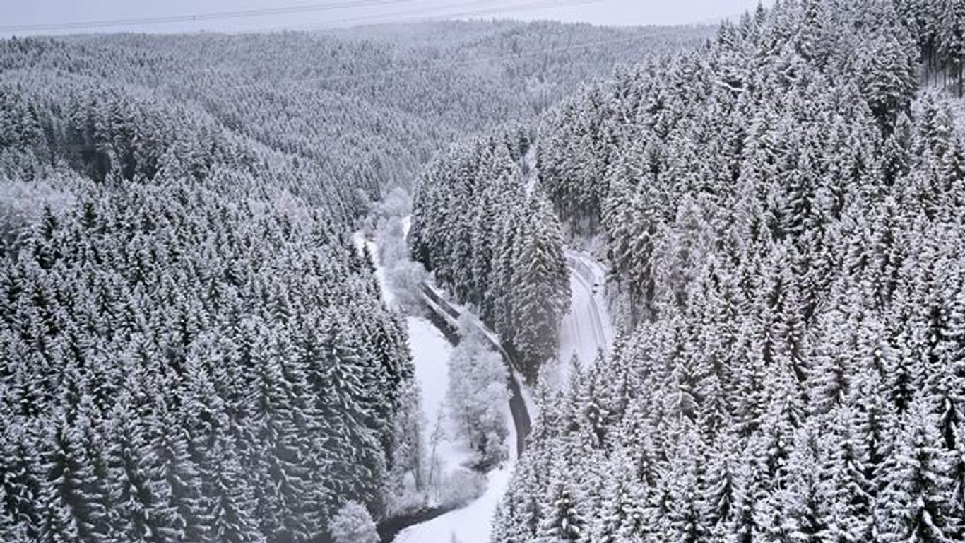 Winterwetter im Thüringer Wald