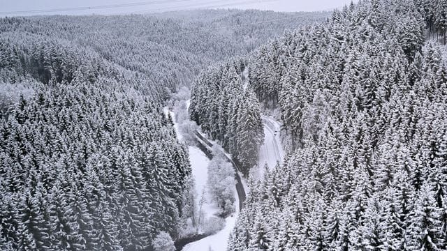 Winterwetter im Thüringer Wald