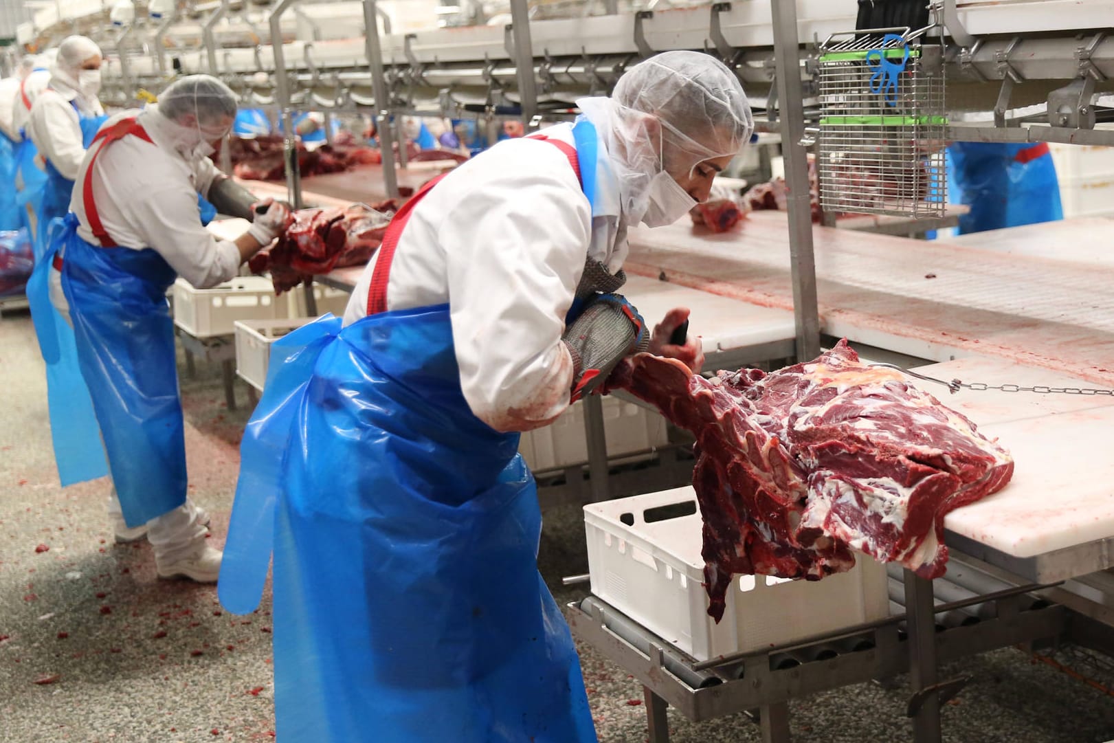 Fleischindustrie in Deutschland (Symbolbild): Viele Firmen müssen mit Krankheitsausfällen beim Personal rechnen. Fleischindustrie in Deutschland (Symbolbild): Viele Firmen müssen mit Krankheitsausfällen beim Personal rechnen.