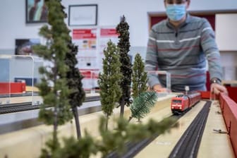 Per Fernbedienung lassen sich auf der Modellanlage im Eisenbahnbetriebsfeld Darmstadt (EBD) auch Bäume über die Strecke legen, um unerwartete Szenarien darstellen zu können.