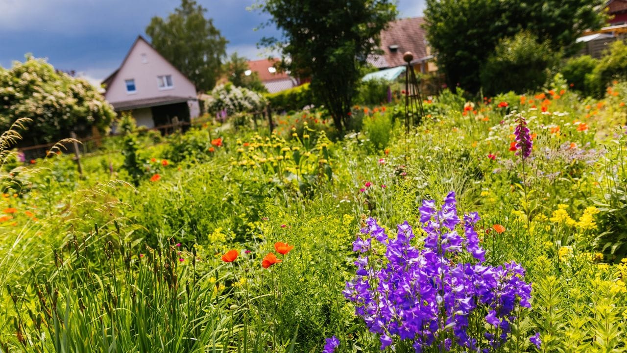 Es hilft der Natur, wenn man nicht nur eine monotone Rasenfläche im Garten hat. Es hilft der Natur, wenn man nicht nur eine monotone Rasenfläche im Garten hat.