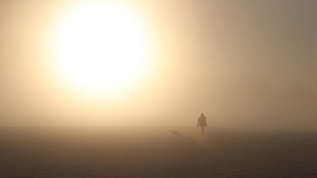 Spaziergang im Nebel