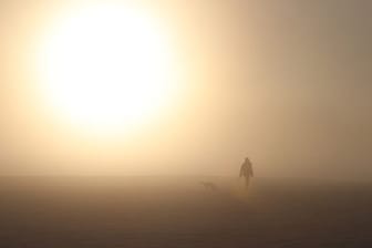 Spaziergang im Nebel