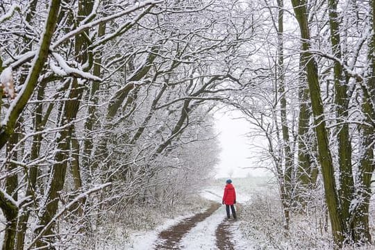 Winterwetter