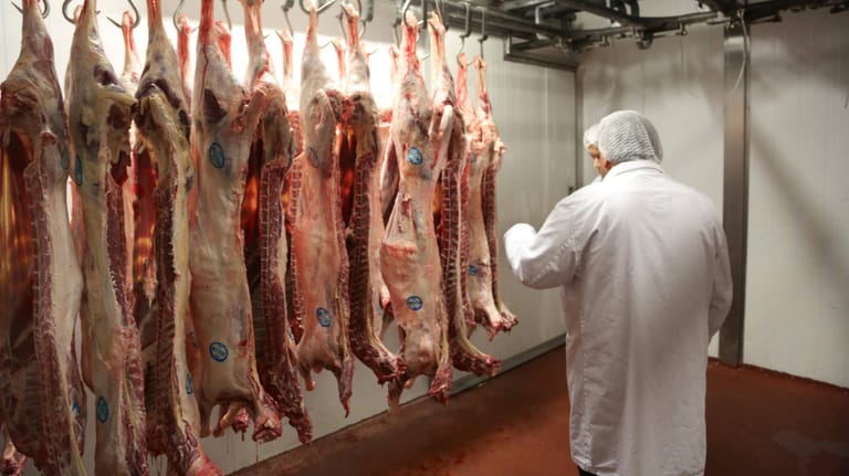 Ein Schlachter begutachtet Tierlaibe (Symbolbild): Der Mindestlohn in der Fleischindustrie soll bereits zum 1. Januar steigen.