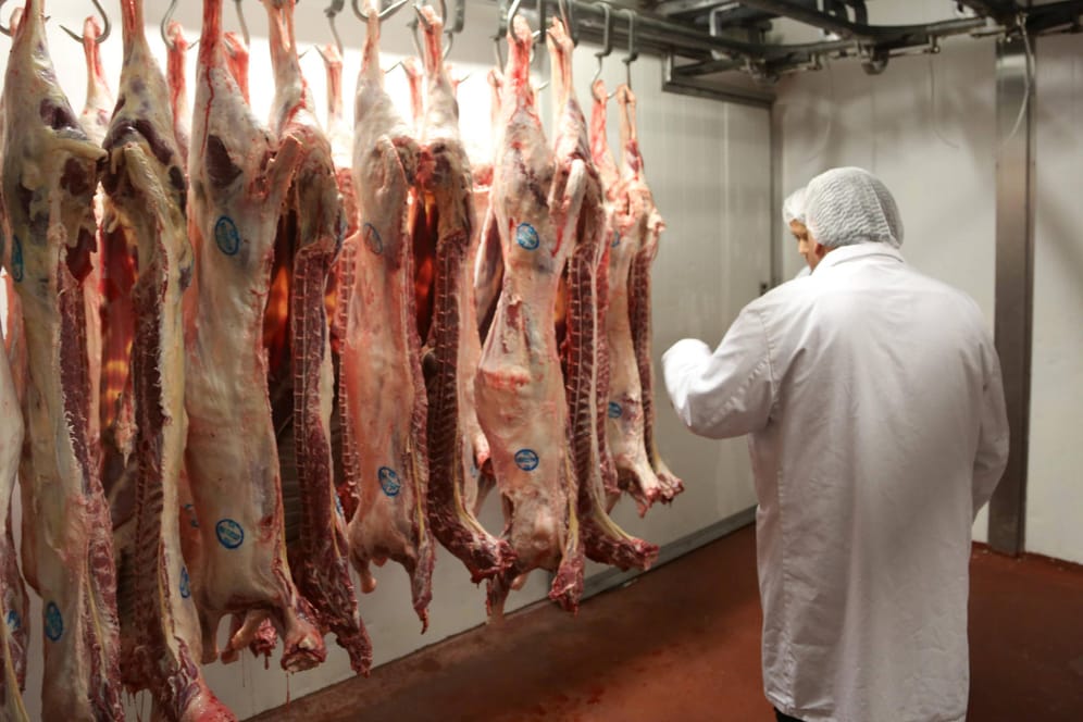 Ein Schlachter begutachtet Tierlaibe (Symbolbild): Der Mindestlohn in der Fleischindustrie soll bereits zum 1. Januar steigen.