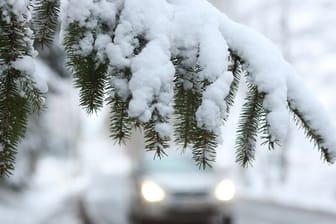 Ein Auto fährt hinter einem schneebedeckten Zweig über die Straße
