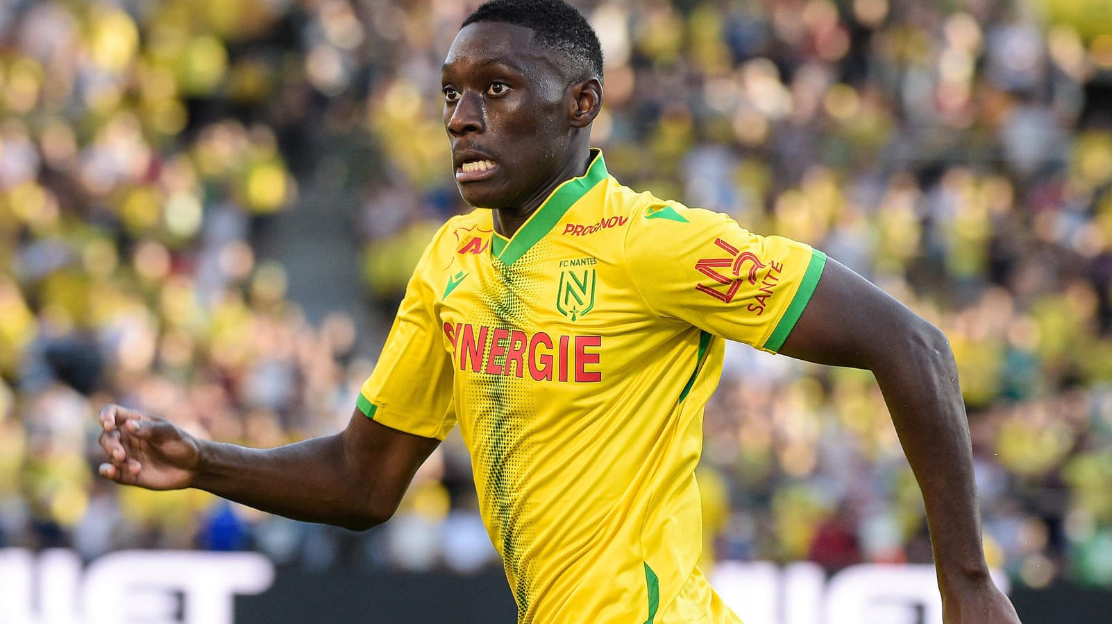 Randal Kolo Muani: Der junge Stürmer des FC Nantes könnte schon bald für die Eintracht auf Torejagd gehen.