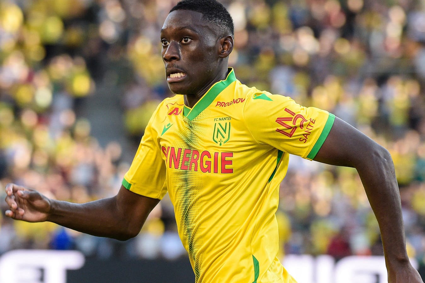 Randal Kolo Muani: Der junge Stürmer des FC Nantes könnte schon bald für die Eintracht auf Torejagd gehen.