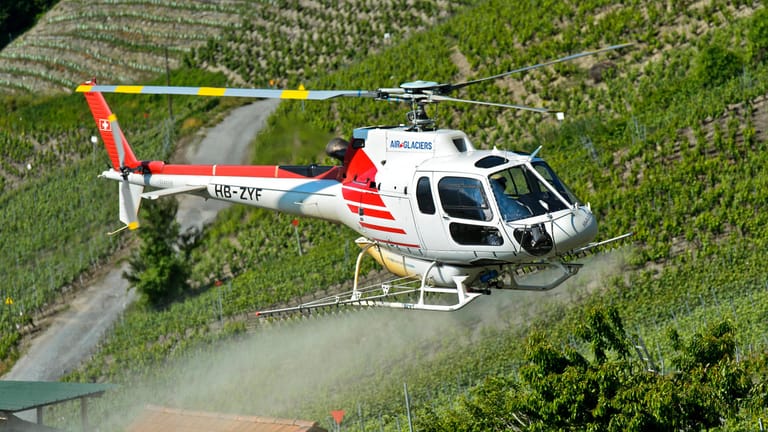 Ein Helikopter versprüht Pflanzenschutzmittel auf Rebflächen (Symbolbild): Nach dem Willen von Ministerin Steffi Lemke soll der Pestizid-Einsatz erheblich verringert werden.