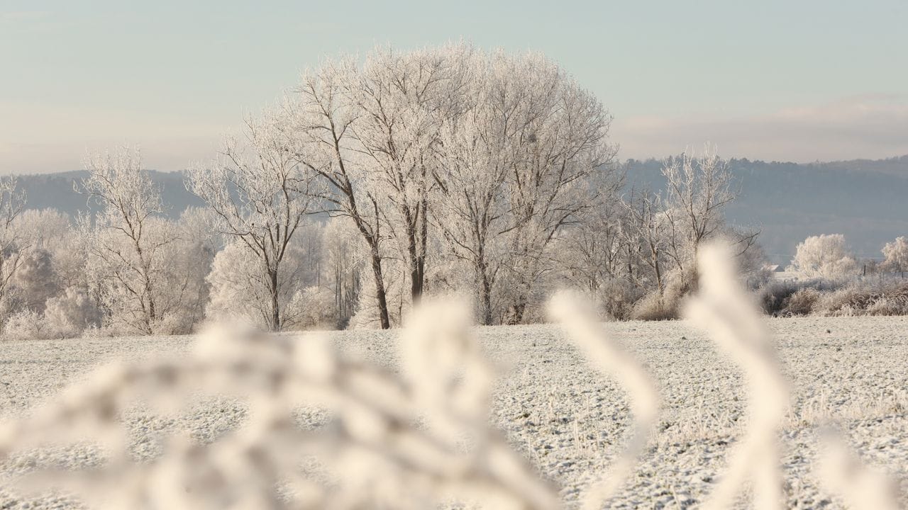 Der Harz - eine Winterlandschaft. Der Harz - eine Winterlandschaft.
