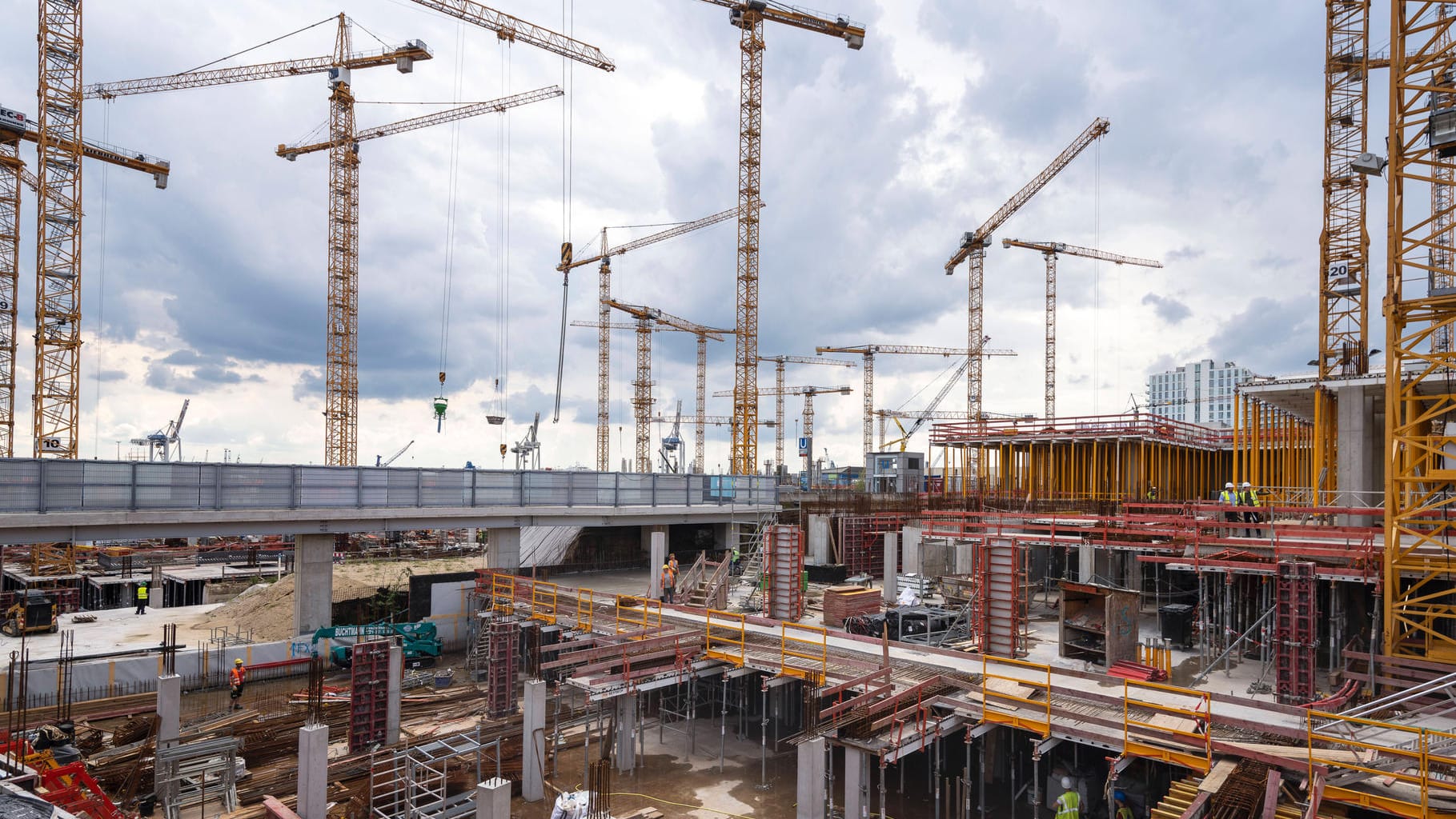 Baukräne auf einer Baustelle in Hamburg (Symbolbild): Wo Wohn- und Gewerbegebäude entstehen, muss die Natur oftmals weichen. Häufig betrifft das auch gefährdete Arten.