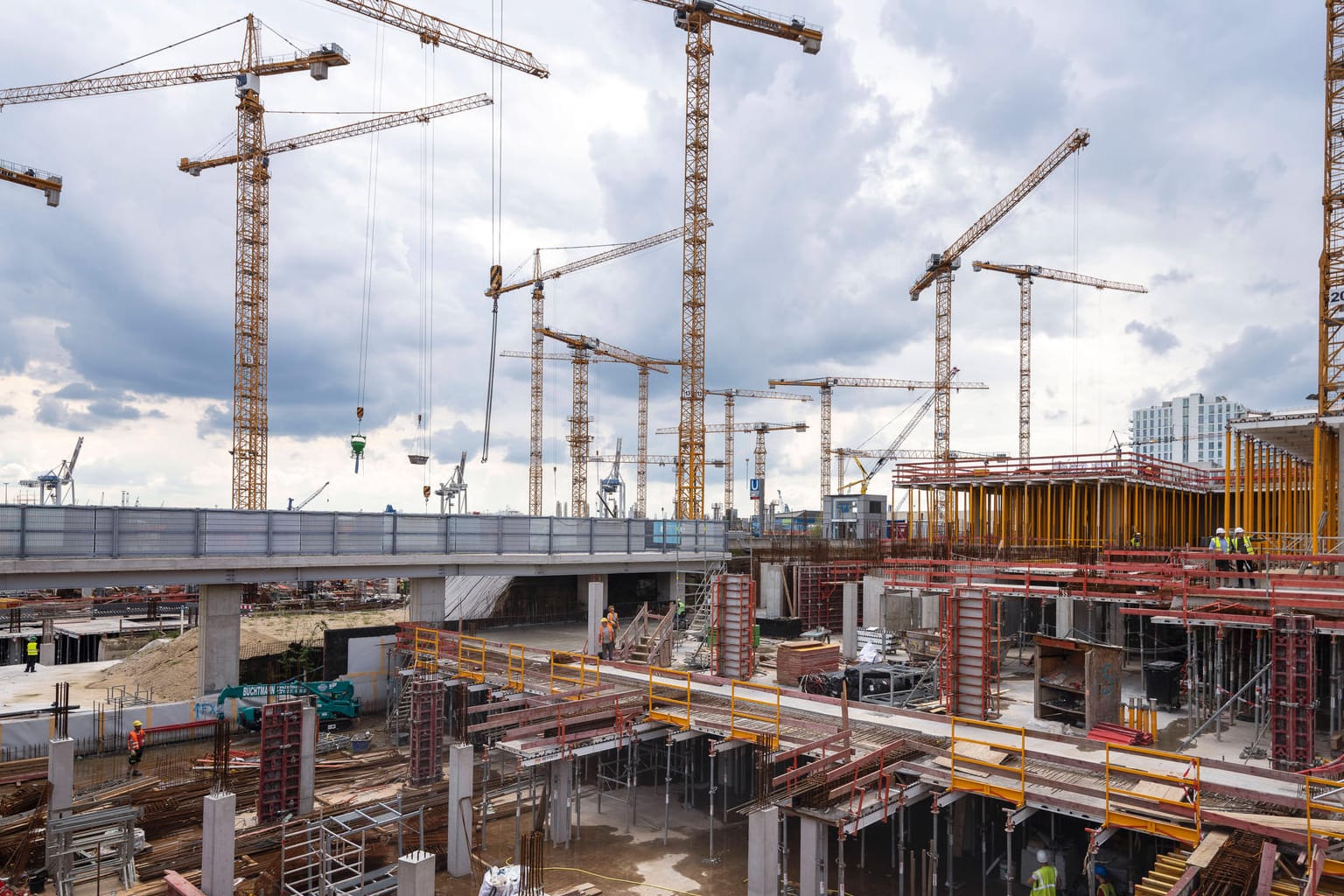 Baukräne auf einer Baustelle in Hamburg (Symbolbild): Wo Wohn- und Gewerbegebäude entstehen, muss die Natur oftmals weichen. Häufig betrifft das auch gefährdete Arten.