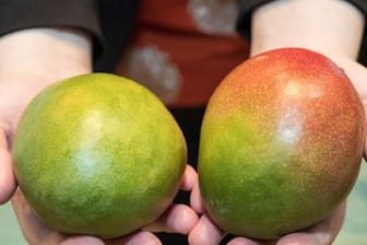 Die Farbe der Schale sagt nichts über den Reifegrad einer Mango aus - hier hilft der Drucktest.