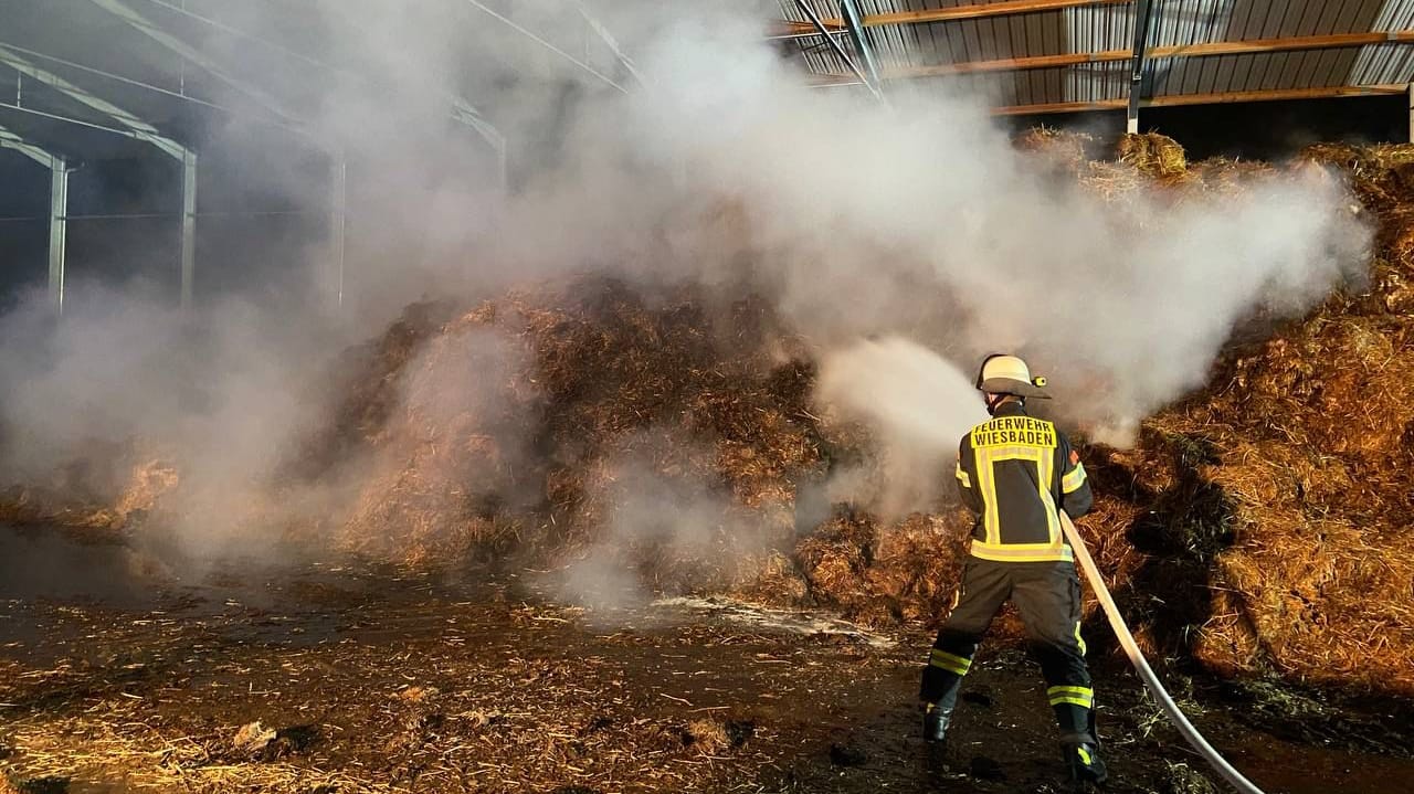 Großeinsatz in Wiesbaden-Delkenheim: Die Feuerwehr löscht einen rund 2.500 Kubikmeter großen brennenden Misthaufen in einem landwirtschaftlichen Betrieb. Großeinsatz in Wiesbaden-Delkenheim: Die Feuerwehr löscht einen rund 2.500 Kubikmeter großen brennenden Misthaufen in einem landwirtschaftlichen Betrieb.