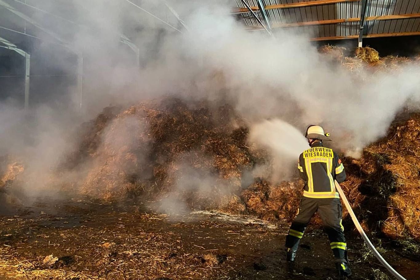 Großeinsatz in Wiesbaden-Delkenheim: Die Feuerwehr löscht einen rund 2.500 Kubikmeter großen brennenden Misthaufen in einem landwirtschaftlichen Betrieb.