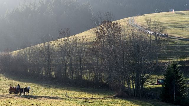 Milde Temperaturen Milde Temperaturen