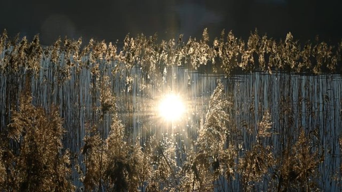 Die untergehende Sonne spiegelt sich im Tegernsee